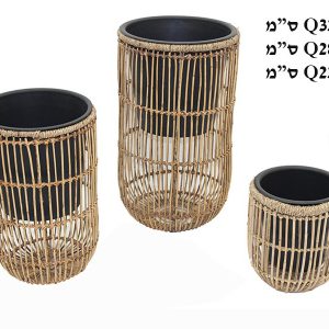 סט (3) כדי שתילה טריפאני